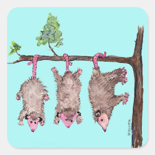 Hang erin 3 possums waterverf stickers (Voorkant)