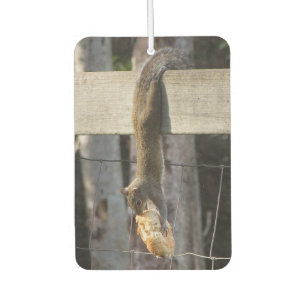 Hang erin Baby - Eekhoorn - Luchtverfrisser