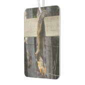 Hang erin Baby - Eekhoorn - Luchtverfrisser (Links)