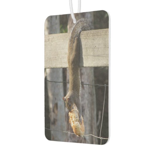 Hang erin Baby - Eekhoorn - Luchtverfrisser (Links)