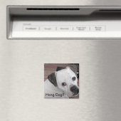 Hang Hond? Magneet (Insitu (Vaatwasser))