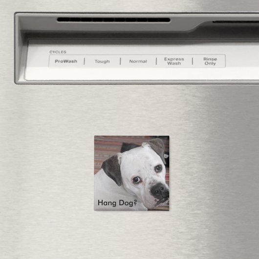 Hang Hond? Magneet (Insitu (Vaatwasser))