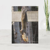 Hang in daar Baby (leeg binnen) Kaart (Voorkant)