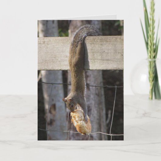 Hang in daar Baby (leeg binnen) Kaart (Voorkant)