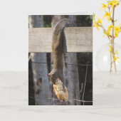 Hang in daar Baby (leeg binnen) Kaart (Gele Bloem)