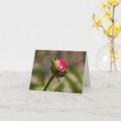 "Hang in Daar" Pioen Gevouwen Wenskaart Kaart (Gele Bloem)