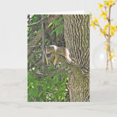Hang in Daar Schattigee Eekhoorn in Boom Ondersteu Kaart (Gele Bloem)