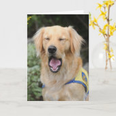 Hang in daar Wenskaart Kaart (Gele Bloem)