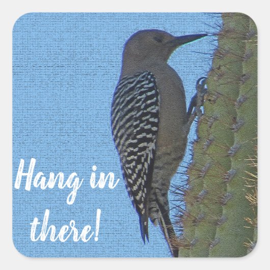Hang in daar Woodpecker Foto Saguaro Cactus Vierkante Sticker (Voorkant)