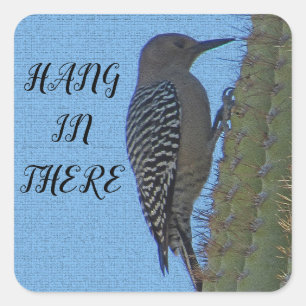 Hang in daar Woodpecker Foto Saguaro Cactus Vierkante Sticker