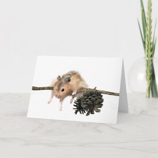 Hang in de kaart (Voorkant)