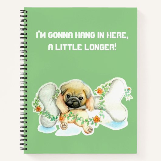 Hang In Here Spiraal Notebook Notitieboek (Voorkant)