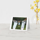 Hang in There!, Beer met Sokken Kaart (Gele Bloem)