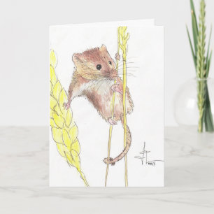 Hang In There, Dormouse. Kaart