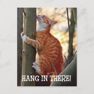 Hang in There met kat in de boom foto Briefkaart