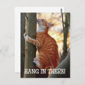 Hang in There met kat in de boom foto Briefkaart (Voorkant / Achterkant)