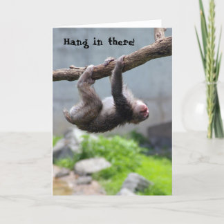Hang in there Monkey card Kaart