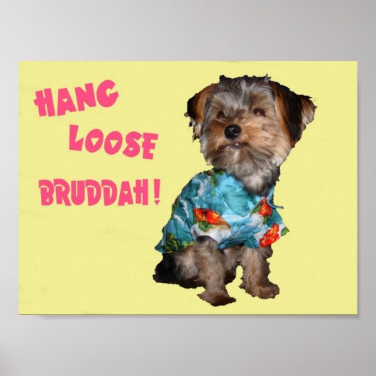 HANG LOOSE BRUDDAH POSTER (Voorkant)