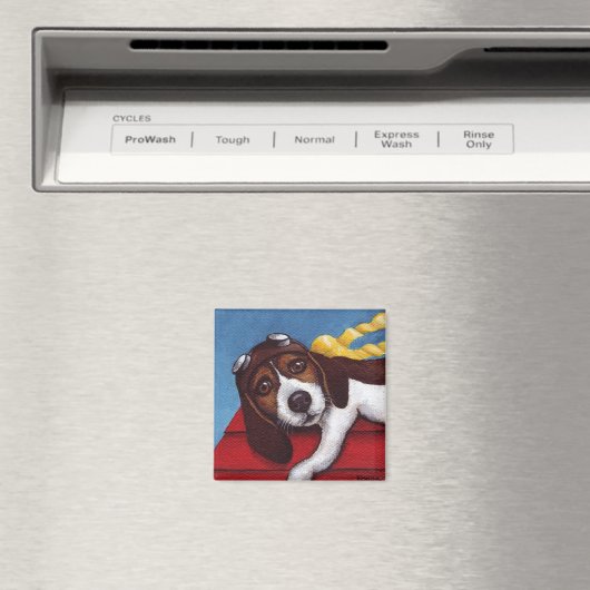 Hang op vliegende aas in training magneet (Insitu (Vaatwasser))