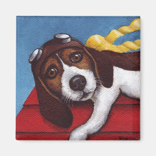 Hang op vliegende aas in training magneet