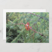 Hangen daar feestdagenkaart (Voorkant / Achterkant)