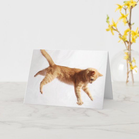 Hangen daar kaart (Gele Bloem)