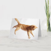 Hangen daar kaart (Voorkant)