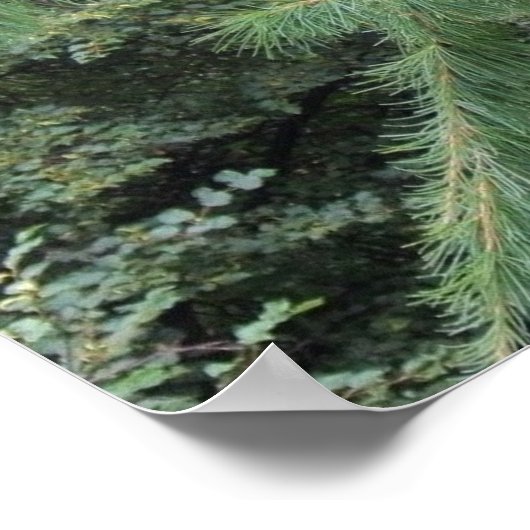 Hangen daar poster (Hoek)