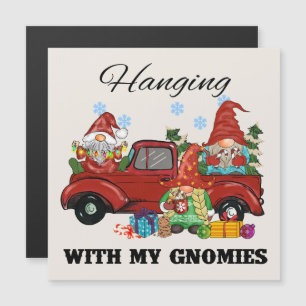 Hangen met mijn gnomen