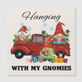 Hangen met mijn gnomen (Voorkant)