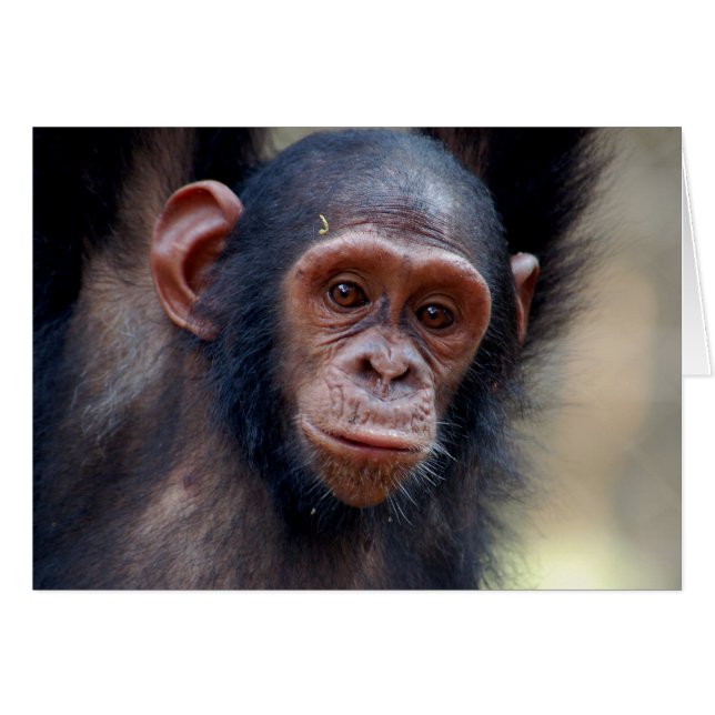 Hangen rond (Voorkant Horizontaal)