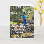 HANGEN ROND EN WIL ZEGGEN GELUKKIGE VERJAARDAG KAART (Gele Bloem)