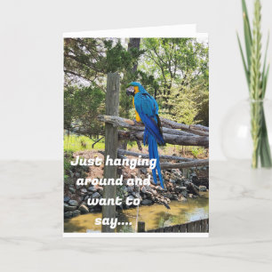 HANGEN ROND EN WIL ZEGGEN GELUKKIGE VERJAARDAG KAART