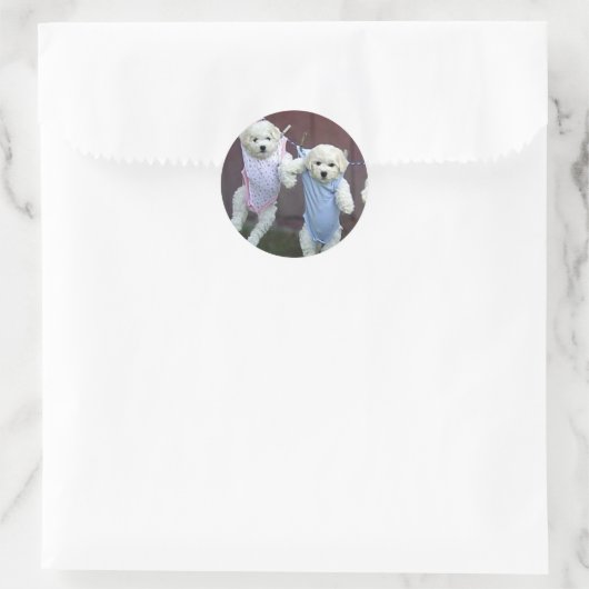 Hangen rond Puppies rond Stickers (Tas)