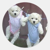 Hangen rond Puppies rond Stickers (Voorkant)