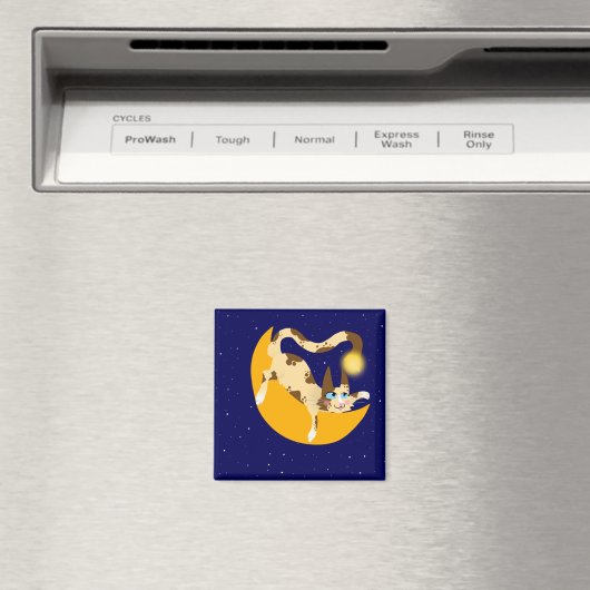 HANGEND OP DE MAAN MAGNEET (Insitu (Vaatwasser))