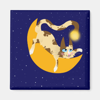 HANGEND OP DE MAAN MAGNEET