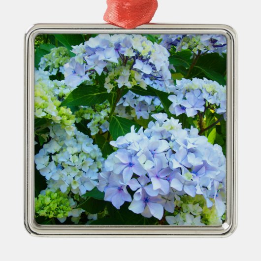 Hangend ornament Blauwe Hortensia Bloemen (Voorkant)