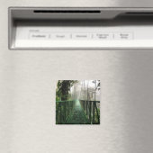 Hangende bruggen, Costa Rica Magneet (Insitu (Vaatwasser))