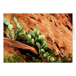 Hangende Cactus Garden Zion National Park UT Blank