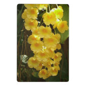 Hangende Gele Orchideeën Tropische Bloemen Mini Klembord (Achterkant)