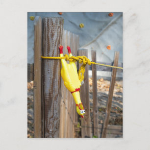 Hangende rubber kip briefkaart