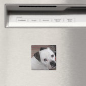 hanghond magneet (Insitu (Vaatwasser))