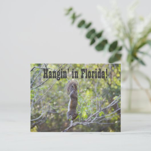 Hangin in Florida Briefkaart (Staand voorkant)