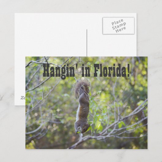 Hangin in Florida Briefkaart (Voorkant / Achterkant)