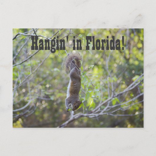 Hangin in Florida Briefkaart (Voorkant)