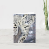 Hangin rond…. kaart (Voorkant)