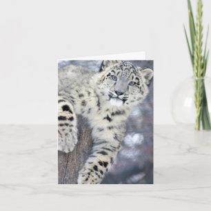 Hangin rond…. kaart