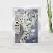 Hangin rond….(w/border) kaart (Voorkant)