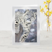 Hangin rond….(w/border) kaart (Gele Bloem)